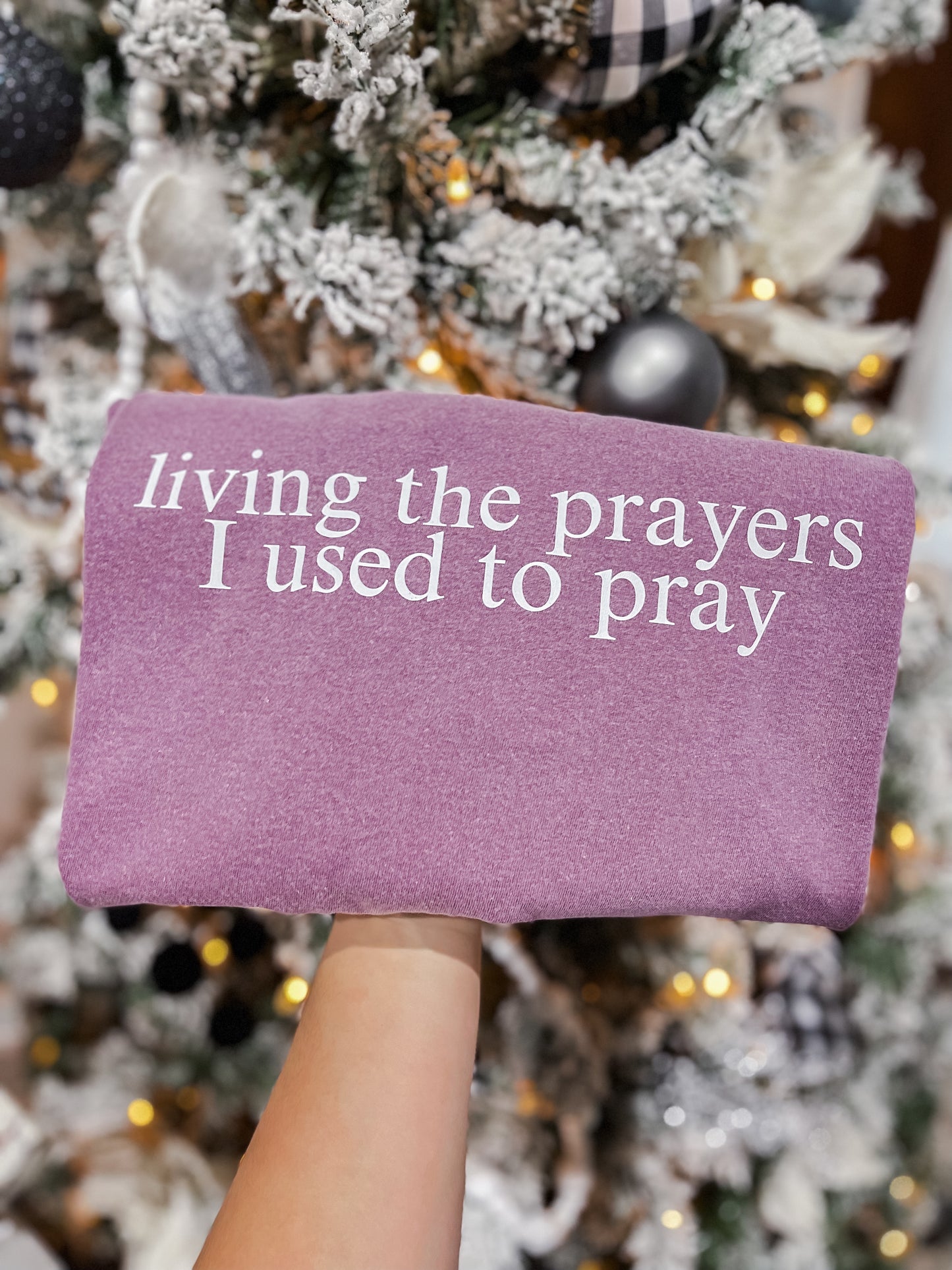 Living the prayers I used to pray Tee/Sweatshirt