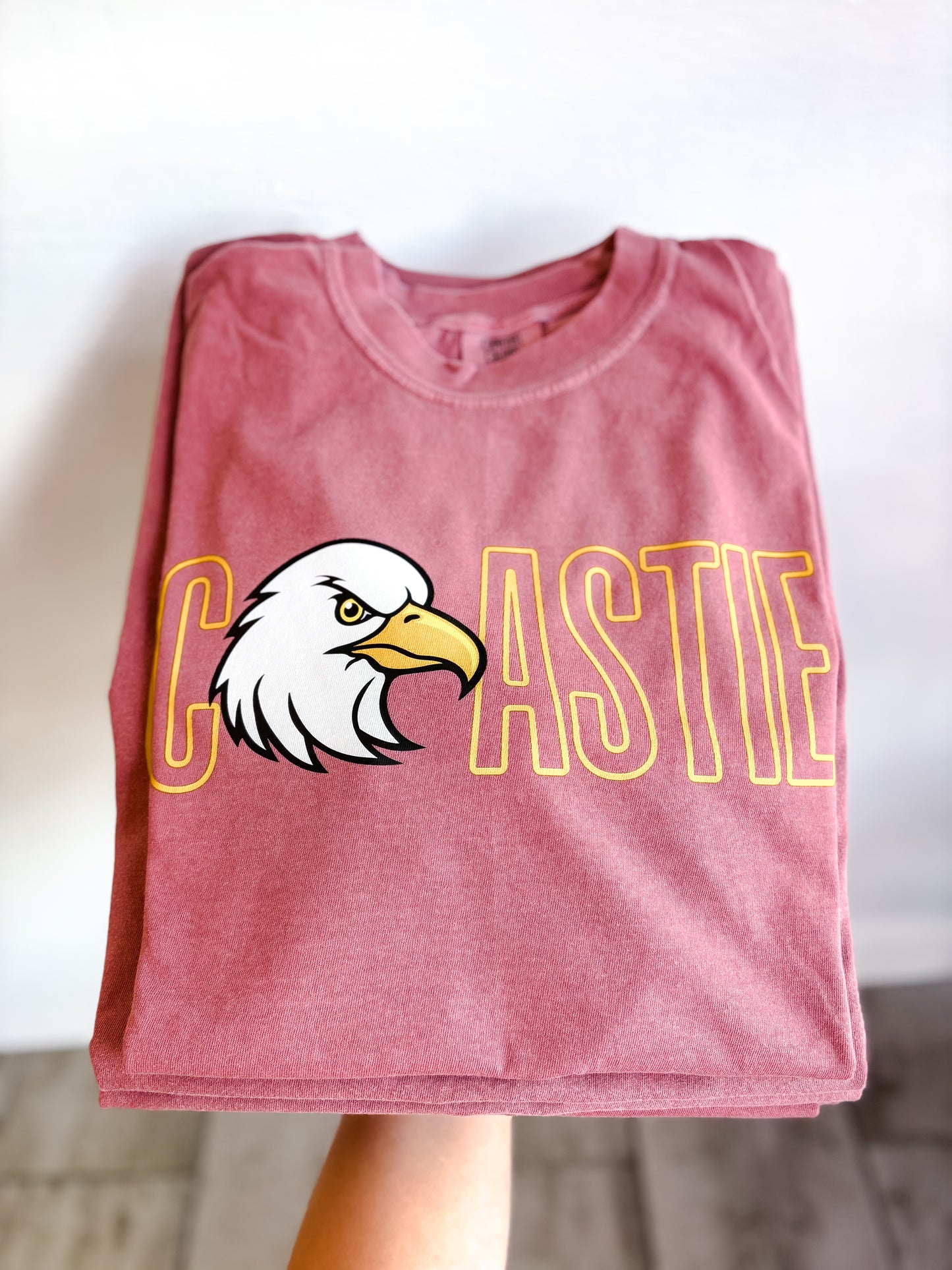 Custom Outlined School & Mascot Tee