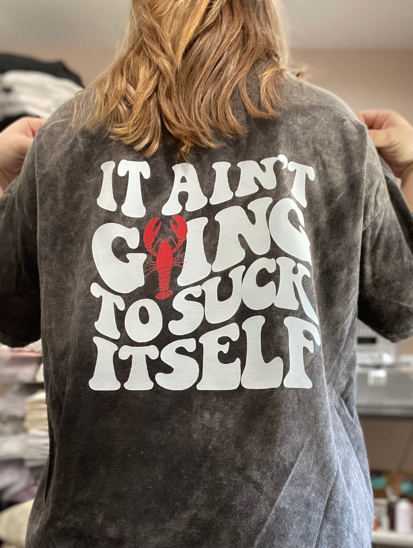 It Ain’t Going To Suck Itself Tee/Sweatshirt