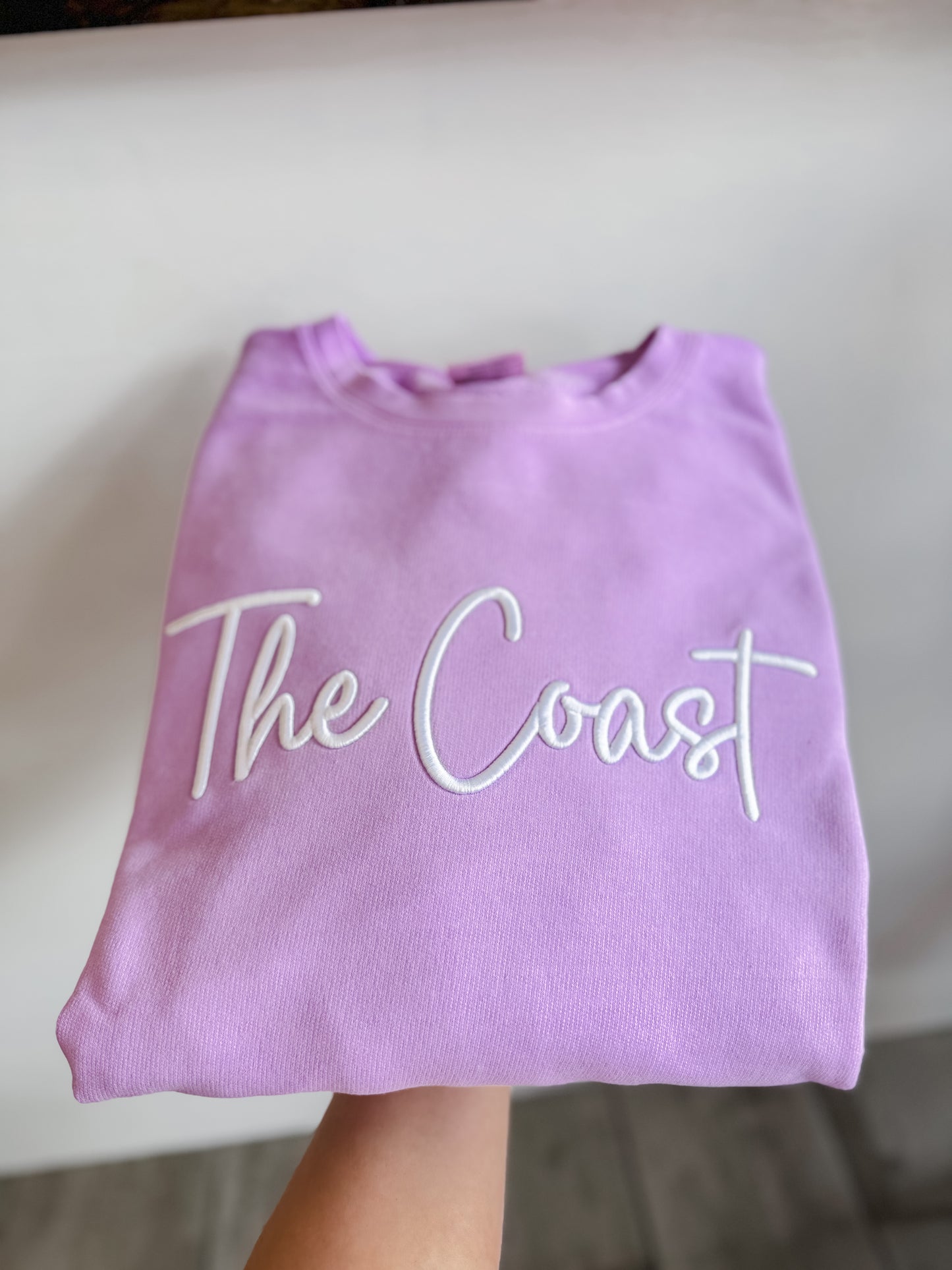 The Coast Puff Embroidered Sweatshirt