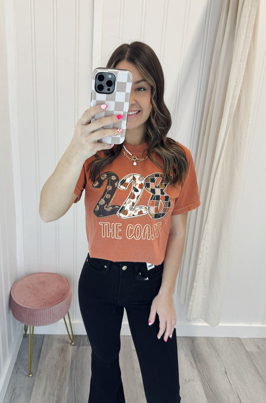 Judy Blue Black Flare Jeans