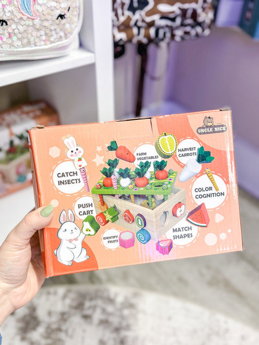 Garden Sorting Box Toy