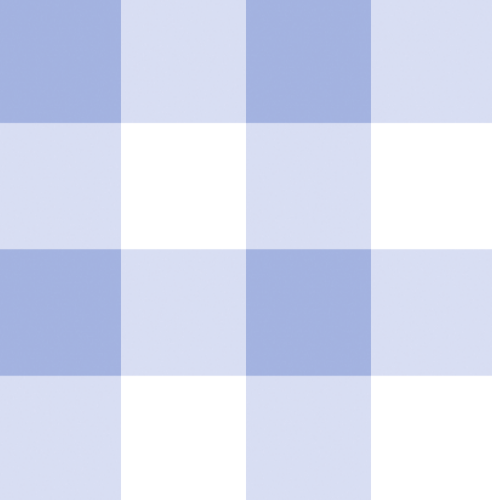 Boys Backpack - Blue Gingham