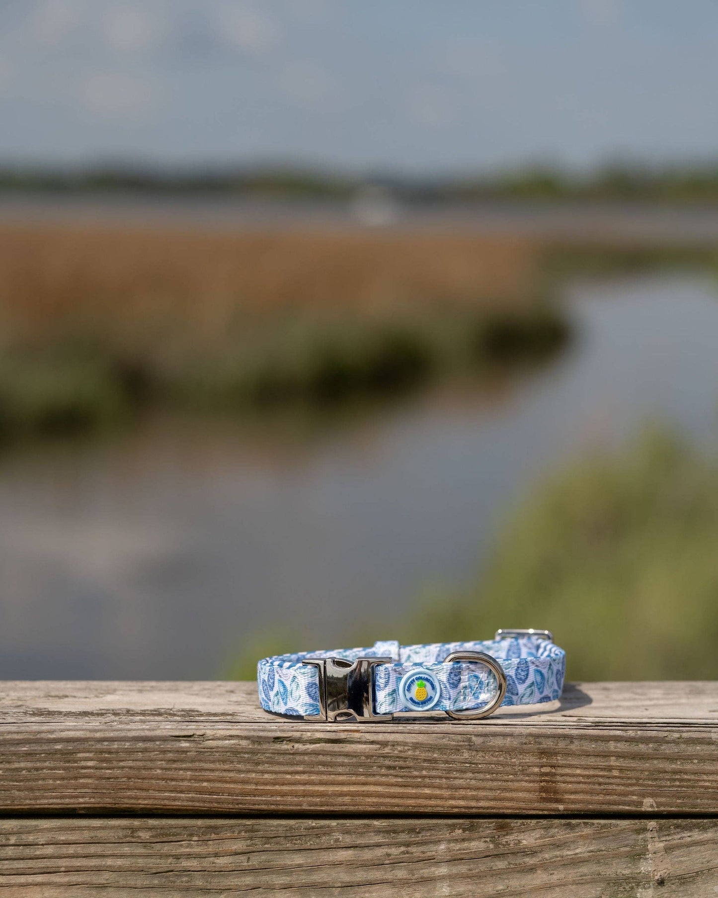 Blue Oyster Dog Collar